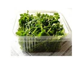 Patrunjel verde eco