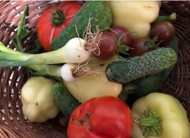 Salata eco_rosii mix, castraveti, ardei, ceapa