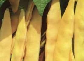 Fasole congelata