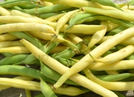 Fasole verde fideluta