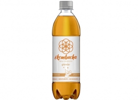 Kombucha ghimbir