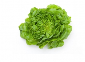 Salata verde creata bio, gi