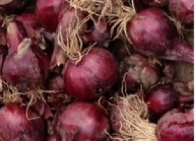 Ceapa rosie eco, kg
