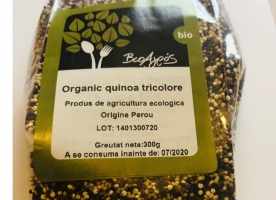 Quinoa tricolora eco