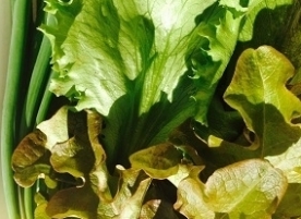 Salata fericita, verde si rosie 200g